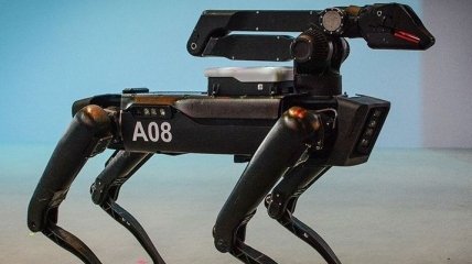 В Boston Dynamics назвали дату массового производства SpotMini