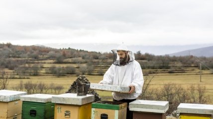 Осінь – важливий час для бджіл, але біля будинку їм не місце