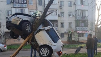 Чудом никто не погиб: из-за дорожной ямы авто влетело на дерево в Одессе (фото и видео)