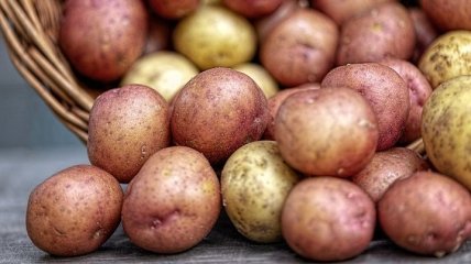 Супрун: Чем меньше у вас участок картофеля, тем лучше для вашего здоровья