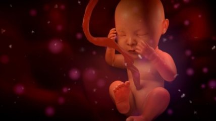 Ученые: жизнеспособность эмбрионов можно будет проверить на ощупь