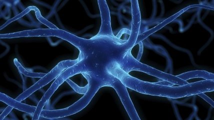Восстанавливаются ли нервные клетки?