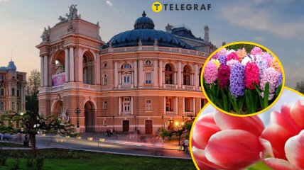 Де дешевше в Одесі купити квіти до 8 березня