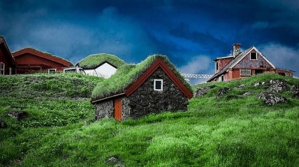 Уникальность и аутентичность: невероятные "зеленые" дома Скандинавии (Фото)