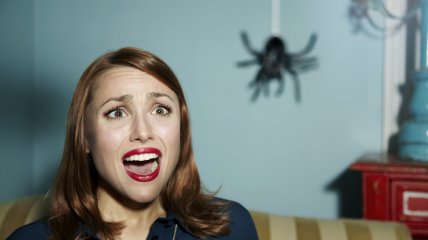 Павуки можуть завдавати незручностей