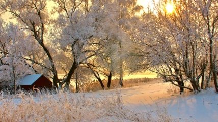 Жителей Украины в ближайшие дни будет радовать теплая зимняя погода