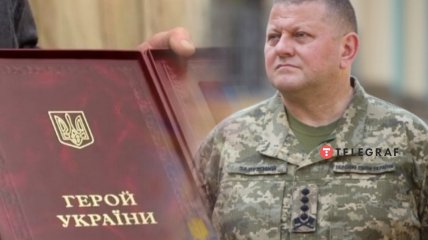 Валерий Залужный давно заслужил звание Героя Украины, считают авторы петиций