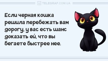 Настройтесь на веселье: смешные анекдоты 16 января