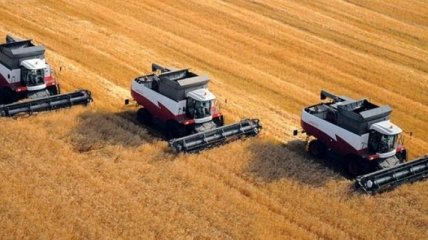 Аграрии подсчитали свои потери от квот Молдовы на их продукцию