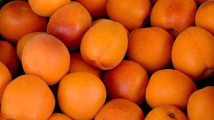 Кардиологи назвали особую пользу абрикосов