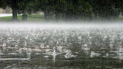 В Украине до конца недели будут идти дожди
