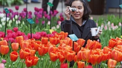 Открылся голландский парк цветов "Кекенхоф"