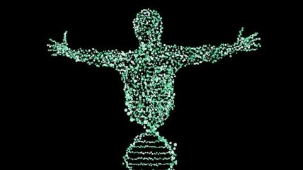 В человеческом микробиоме обнаружено более 4 тыс. новых белковых семейств 