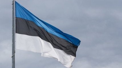 Правительство Эстонии готовит договор о военном сотрудничестве с Америкой