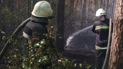 Масштабный пожар в лесопарковой зоне в Киеве: в ГСЧС сообщили подробности