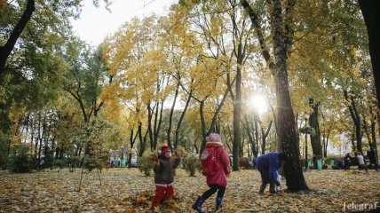 В Украине ввели "зеленые" ограничения, чтобы защитить парки от застроек