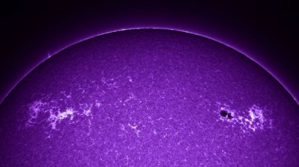 NASA показало снимок фиолетового Солнца