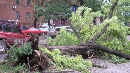 Ликвидация последствий урагана в Одессе почти завершена
