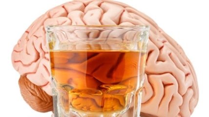 Алкоголь негативно влияет на работу мозга