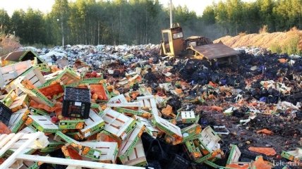 В России уничтожили 17 тыс. тонн санкционной продукции