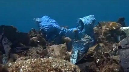 Вовсе не райский уголок: возле берегов Греции обнаружен "пластиковый риф" (Видео)