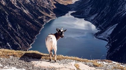 Невероятная природная красота горных пейзажей от австрийского фотографа (Фото) 