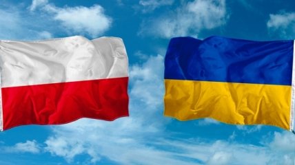 В Польше предлагают вместо года России провести год Украины