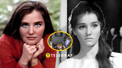 Могила актрисы Жанны Прохоренко