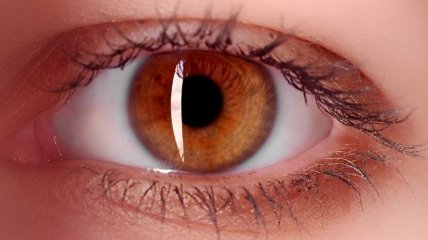 Создан имплант для сетчатки глаза