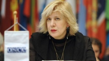 ПАСЕ избрала еврокомиссара по правам человека