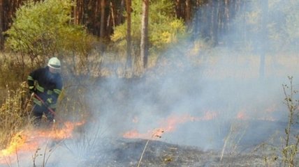 Кадры апокалипсиса: на Луганщине бушуют лесные пожары (фото)