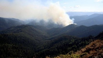 В Грузии не удается потушить лесные пожары