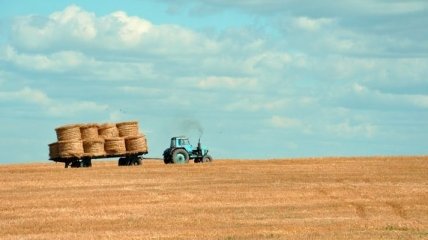 Поддержка ферм и пасек: Кабмин потратит миллиард гривень