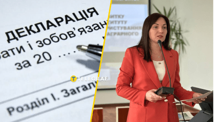 Лутковська пояснювала мільйонні надходження позиками та грошима батька