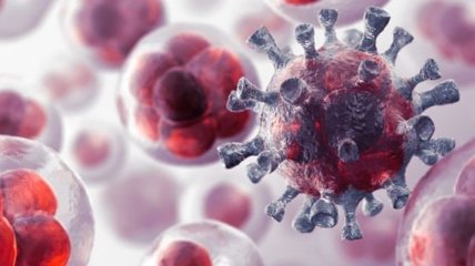 Ученые превратили клетки кожи человека в иммунные клетки