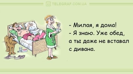 Встречайте утро улыбкой: утренние анекдоты 6 февраля