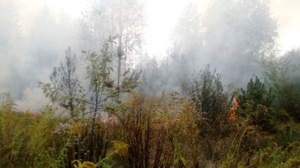 За сутки в Житомирской области ГСЧС ликвидировала два десятка возгораний 