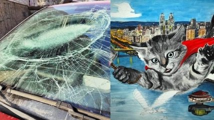 Кот вдохновил художника на картину, разбив лобовое стекло его машины: детали ЧП в Днепре