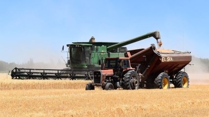 Украина увеличила экспорт зерновых на 40%