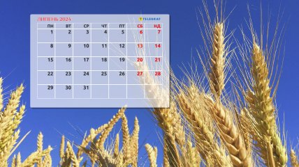 Календарь праздников и выходных на июль 2024 года