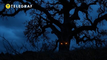 Деякі дерева мають негативну енергетику (зображення створено за допомогою ШІ)