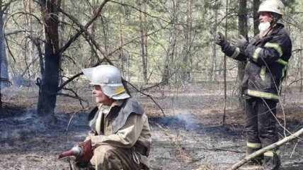 ГСЧС: Все лесные пожары в Киевской и Житомирской областях локализовали