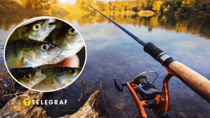 Рыбак поймал необычную рыбу