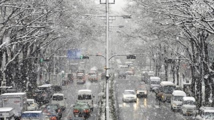 В Японии из-за снегопадов отменили внутренние рейсы
