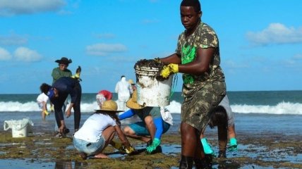Тисячі добровольців очищали узбережжі Бразилії від нафти (Фото)