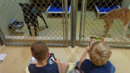 Американские дети почитали книги животным из приюта