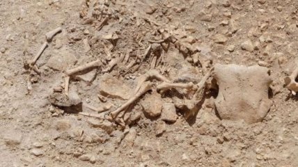 В Англии откопали останки "химер" и "единорога" 