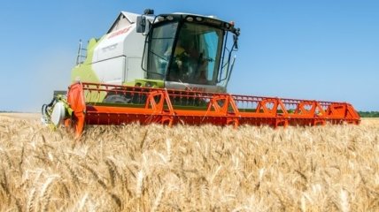 Украина с начала 2015/2016 МГ экспортировала 33 млн тонн зерновых