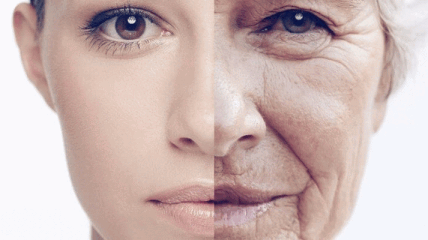 Найден новый способ борьбы со старением