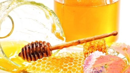 Мед вырабатывает вещества, аналогичные антибиотикам